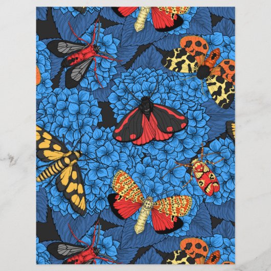 Motten auf blauem Hydrangea (Vorderseite)