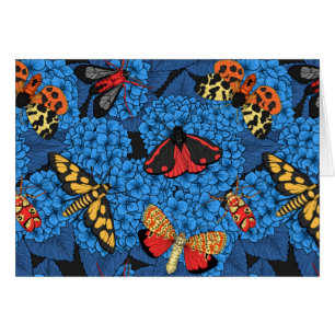 Motten auf blauem Hydrangea