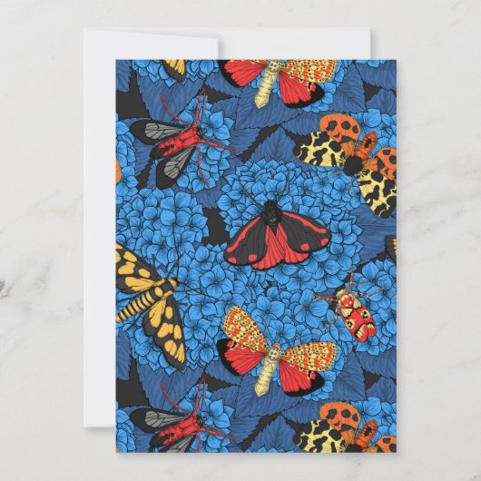 Motten auf blauer Hortensie (Vorderseite)