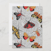 Motten auf Hydrangea (Vorderseite)