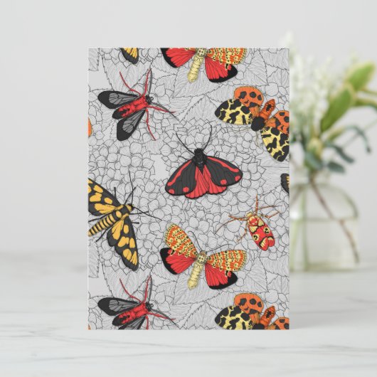 Motten auf Hydrangea (Stehend Vorderseite)