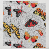 Motten auf Hydrangea (Vorne/Hinten)