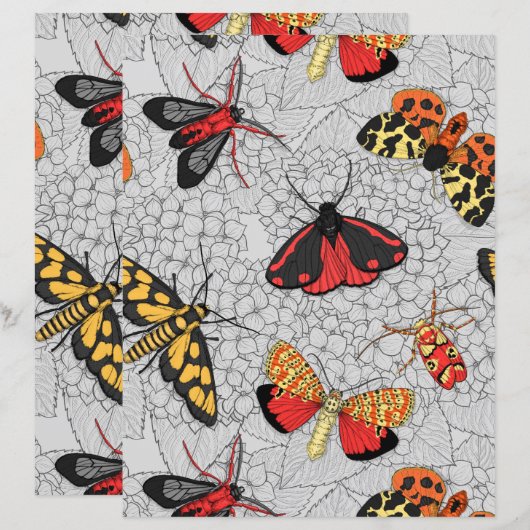 Motten auf Hydrangea (Vorne/Hinten)