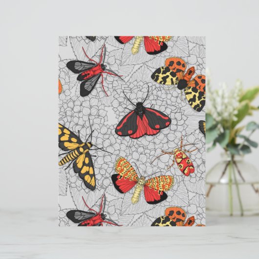 Motten auf Hydrangea (Stehend Vorderseite)