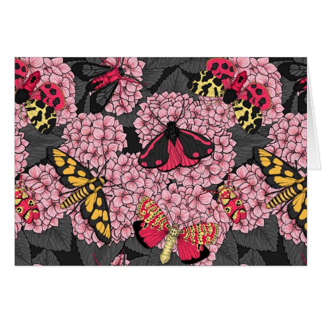 Motten auf rosa Hydrangea (Vorderseite (Horizontal))