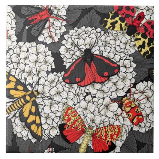 Motten auf weißem Hydrangea Fliese (Vorderseite)