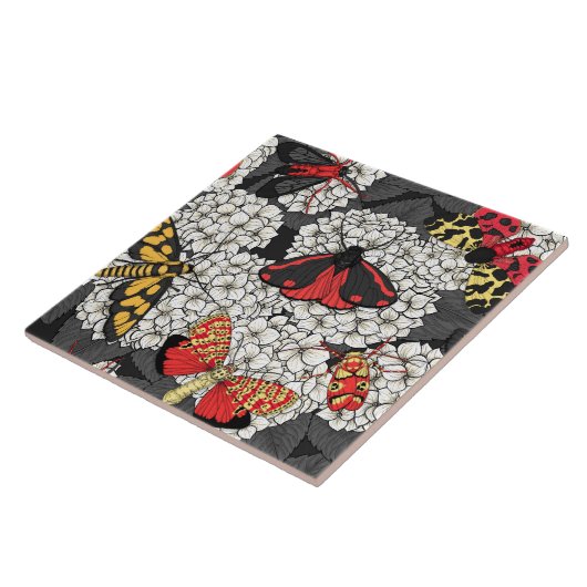 Motten auf weißem Hydrangea Fliese (Seite)