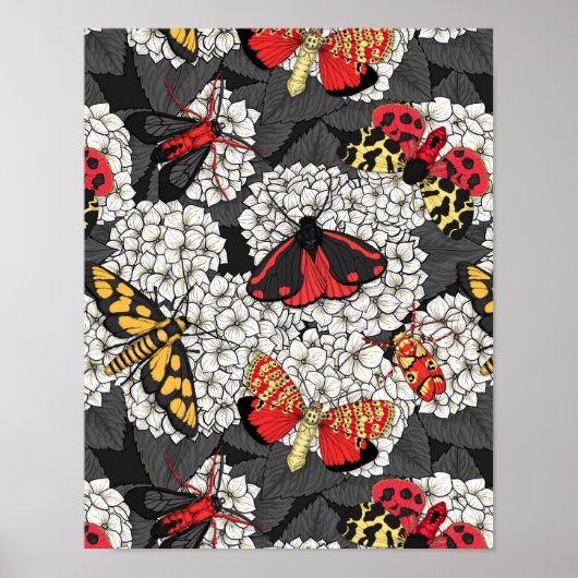 Motten auf weißem Hydrangea Poster (Vorne)