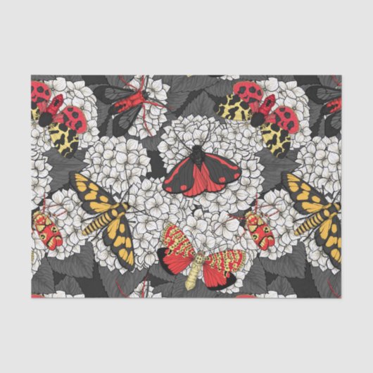 Motten auf weißem Hydrangea Seidenpapier (Vorderseite)