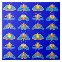 Motten in Dunkelblau, Orange und Türkis