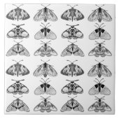 Motten in Grau, Schwarz und Weiß Fliese (Vorderseite)