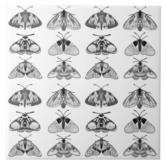 Motten in Grau, Schwarz und Weiß Fliese (Vorderseite)