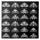 Motten in Schwarz, Weiß und Grau Fliese (Vorderseite)