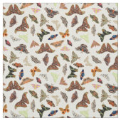 Motten insekten schöne Natur Stoff (Muster)