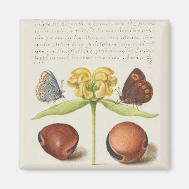 Motten, Jerusalem-Weide und Bohnenkalligraphie Magnet