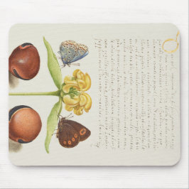 Motten, Jerusalem-Weide und Bohnenkalligraphie Mousepad