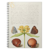 Motten, Jerusalem-Weide und Bohnenkalligraphie Notizblock (Vorderseite)