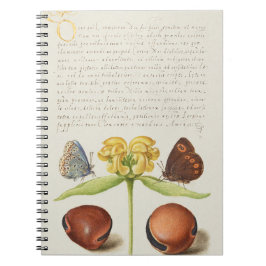 Motten, Jerusalem-Weide und Bohnenkalligraphie Notizblock