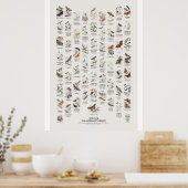Motten - Naturalist's Library Poster (Küche)