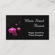 Motten-Orchideen-Rosa-Blumen