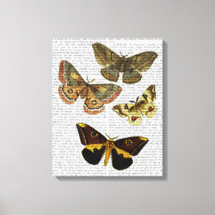 Motten-Platte 4 Leinwanddruck