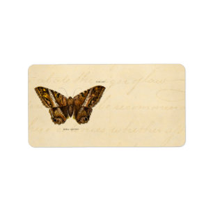 Motten-Schablonen-Schmetterling Vintage 1800s Adressaufkleber