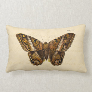 Motten-Schablonen-Schmetterling Vintage 1800s Lendenkissen