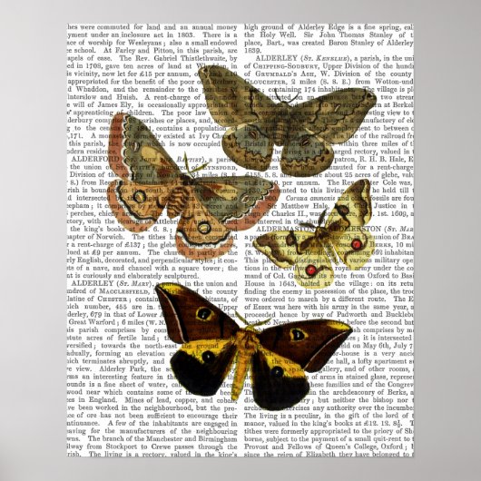 Motten Tafel 4 Poster (Vorne)