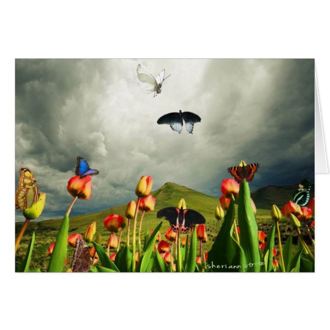 Motten u. Tulpen (Vorderseite (Horizontal))