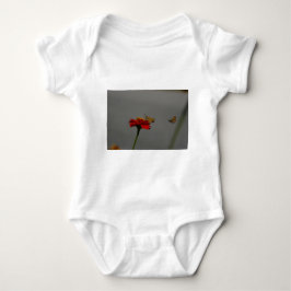 Motten und Rotes Zinnia Baby Strampler