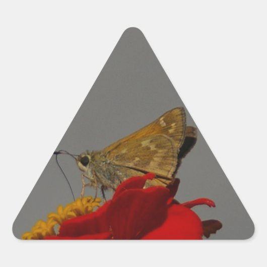 Motten und Rotes Zinnia Dreieckiger Aufkleber (Vorderseite)