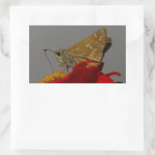 Motten und Rotes Zinnia Rechteckiger Aufkleber (Tasche)