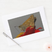 Motten und Rotes Zinnia Rechteckiger Aufkleber (Umschlag)