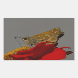 Motten und Rotes Zinnia Rechteckiger Aufkleber
