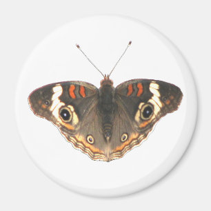 Mottenmuster eines Schlangenkopfes Magnet