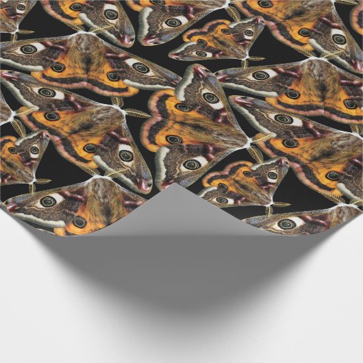 Mottenmuster Geschenkpapier (Ecke)