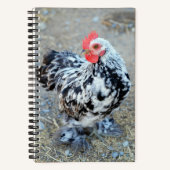 Mottles Bantam Cochin Chicken Journal Notizblock (Vorderseite)