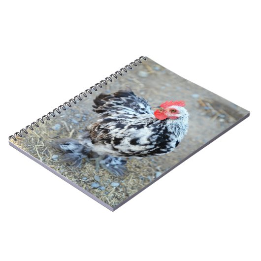 Mottles Bantam Cochin Chicken Notebook Journal Notizblock (Linke Seite)