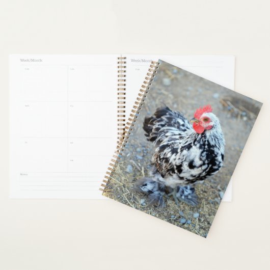Mottles Bantam Cochin Chicken Notebook Journal Planer (Anzeige)