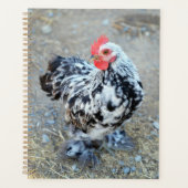 Mottles Bantam Cochin Chicken Notebook Journal Planer (Vorderseite)