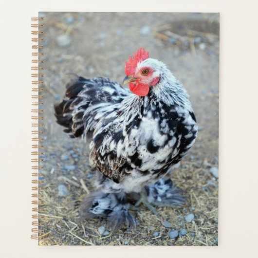 Mottles Bantam Cochin Chicken Notebook Journal Planer (Vorderseite)