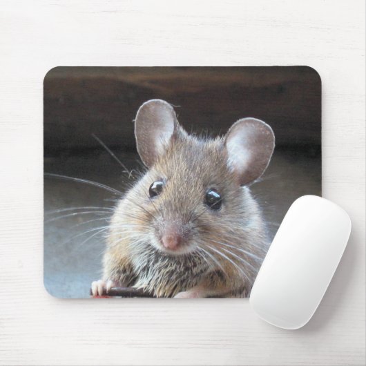 Moue Mousepad (Mit Mouse)