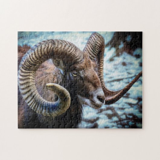 Mouflon am See Puzzle (Horizontal)