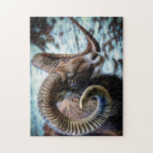 Mouflon am See Puzzle (Vertikal)