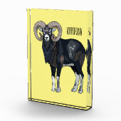 Mouflon-Cartoon Fotoblock (Rechts)