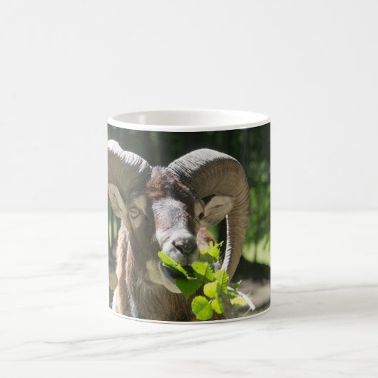 Mouflon Ram Kaffeetasse (Mittel)
