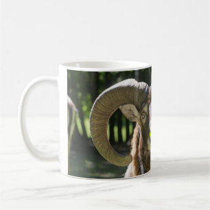 Mouflon Ram Kaffeetasse