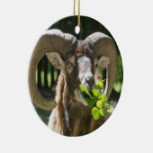 Mouflon Ram Keramikornament (Rechts)