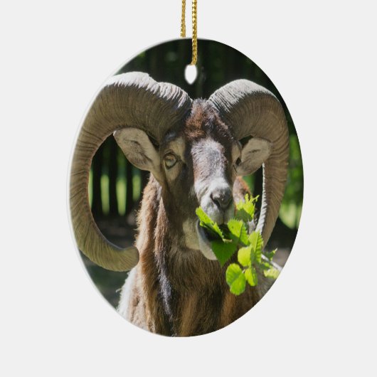 Mouflon Ram Keramikornament (Rechts)
