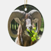 Mouflon Ram Keramikornament (Links)